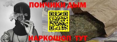 МДПВ Дубна