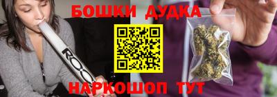 МДПВ Дубна